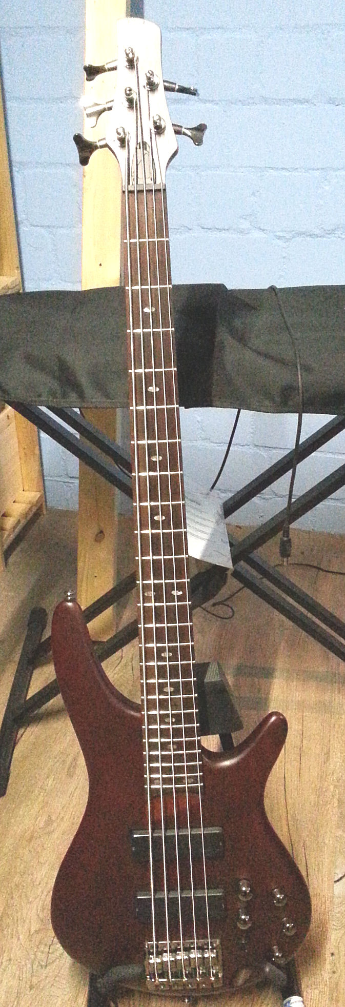 Ibanez 5-String